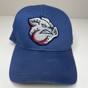 Lehigh Valley IronPigs Minor League Baseball Hat Cap OC Sports Mens OSFM